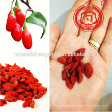 Ningxia Goji Berry Miracle Frucht Ningxia Beeren Goji Getrocknet